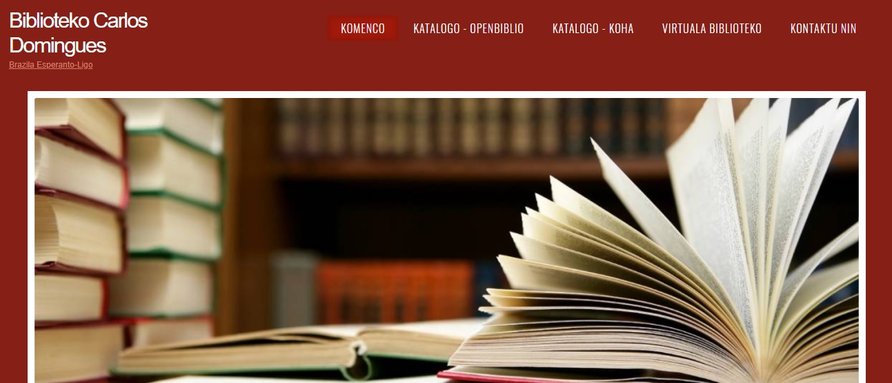 Registro visual histórico 16, identificação da instituição em revisão